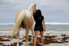 Alycia & Goldrush at the beach- Australia 1