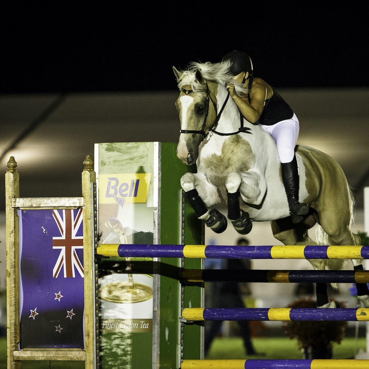 NZL-Alycia Burton: Free Riding Star: FRIDAY NIGHT EXTRAVAGANZA: 2016 NZL-Horse of the Year Show, Hawkes Bay Showgrounds, Hastings (Friday 4 March) CREDIT: Libby Law COPYRIGHT: LIBBY LAW PHOTOGRAPHY