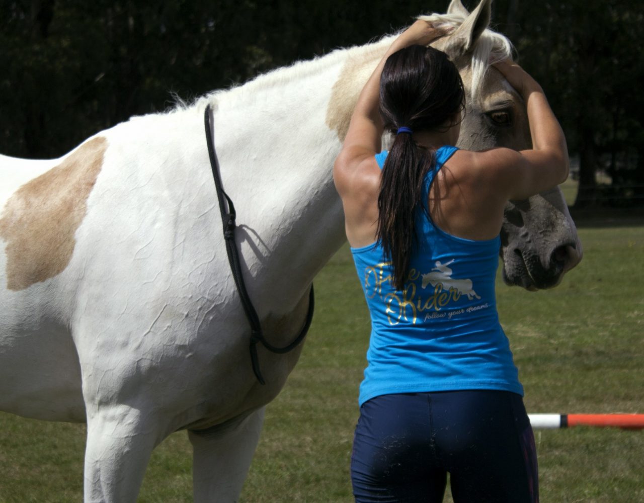 FreeRiding NZ Alycia Burton Free Rider