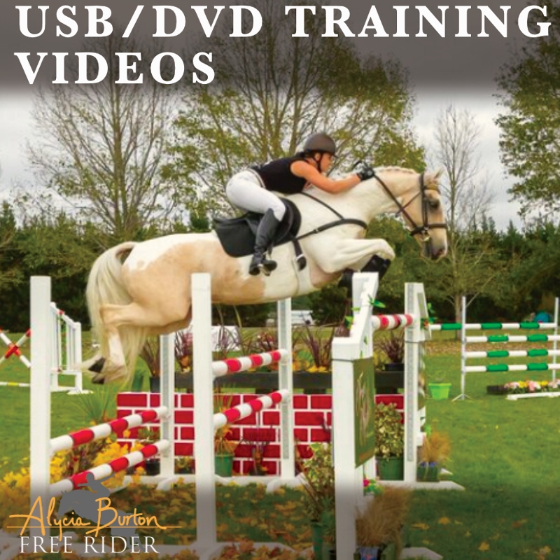 Training Videos on USB/DVD